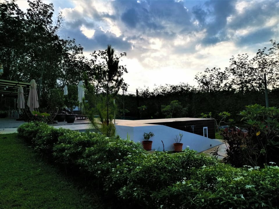 Property building, Day, Garden, Garden view, Pool view, Swimming pool