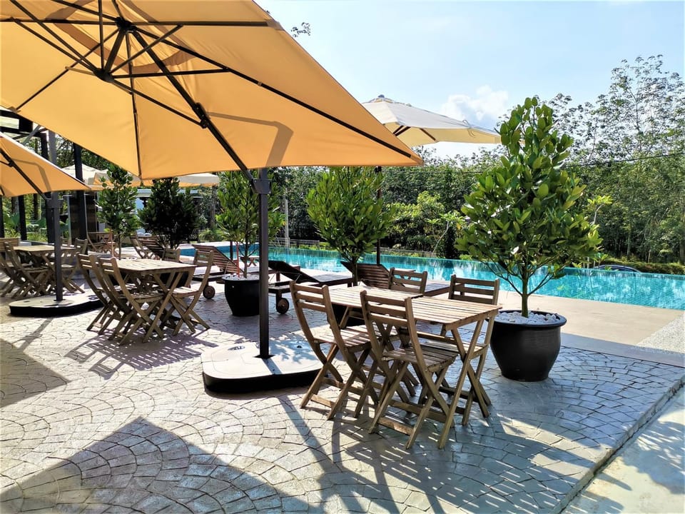 Day, View (from property/room), Pool view, Swimming pool, sunbed
