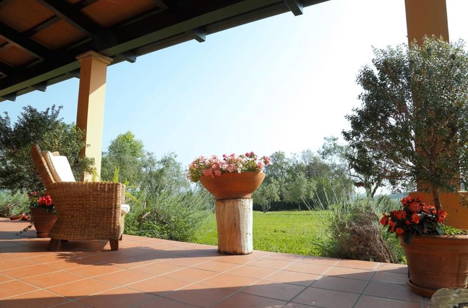 Garden view