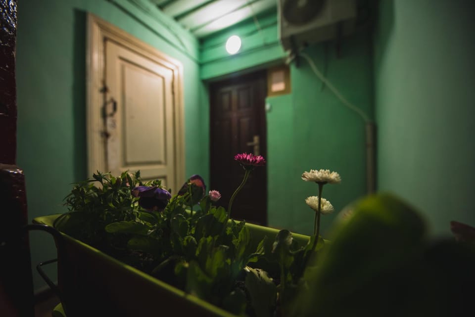 COZY APARTMENT IN CENTER OF OLD TBILISI Apartment in Tbilisi, Georgia