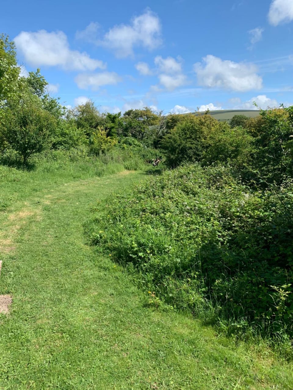 Natural landscape, Garden, Hiking, Garden view