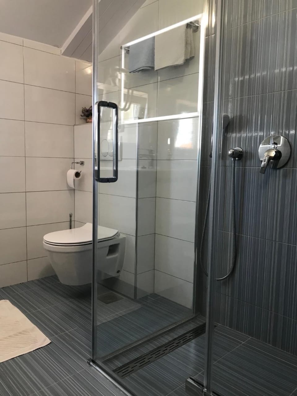 Shower, Toilet, Bathroom