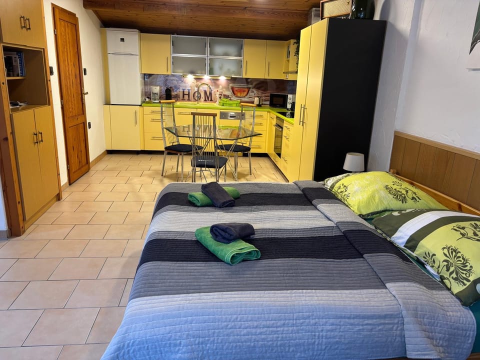 Bed, TV and multimedia, Kitchen or kitchenette, Living room, Photo of the whole room, Dining area, oven, towels