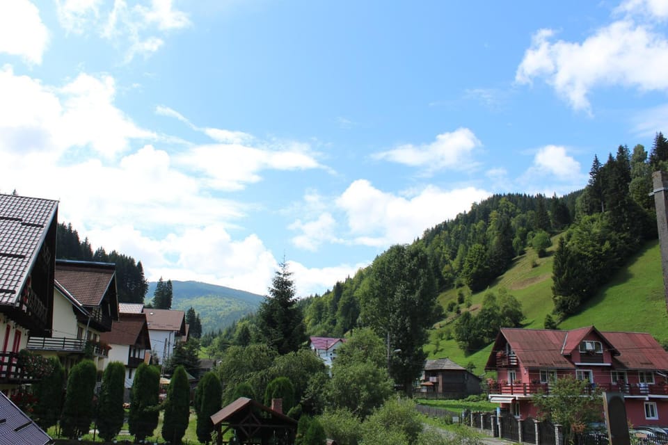 Day, Summer, Street view