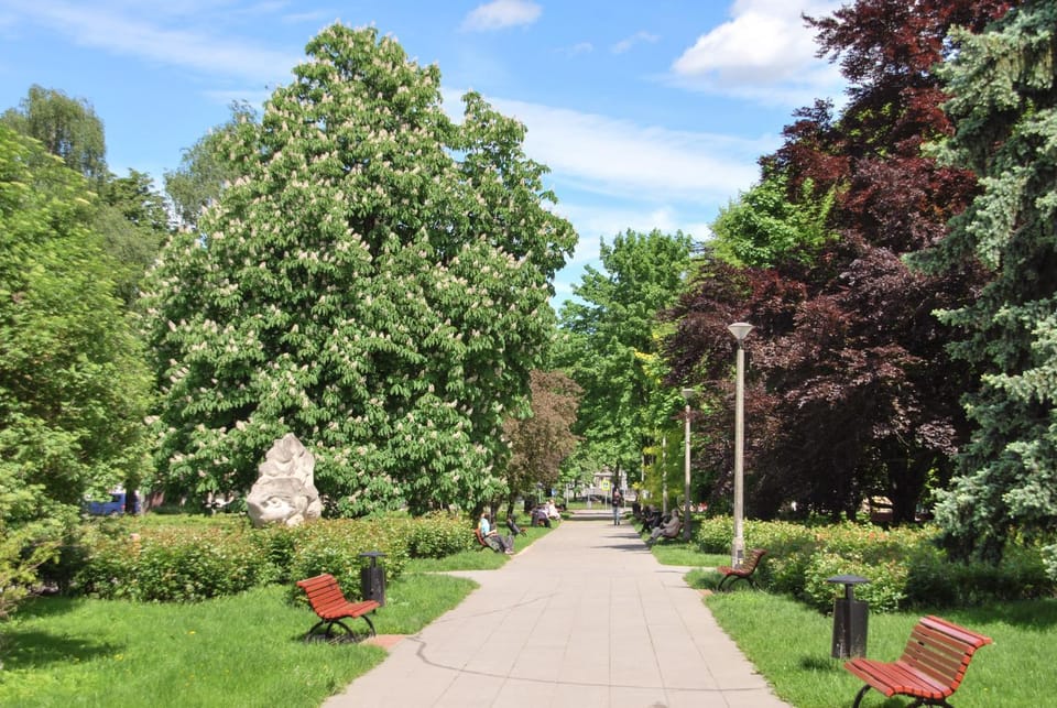 Garden view