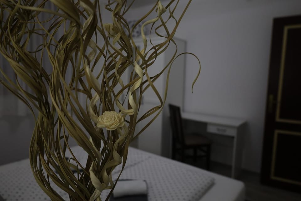 Hacijenda House in Vojvodina