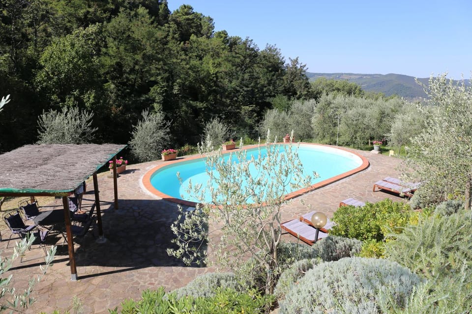 Swimming pool, Swimming pool