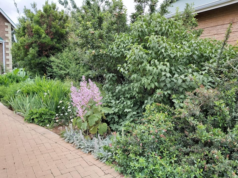 Garden, Garden view