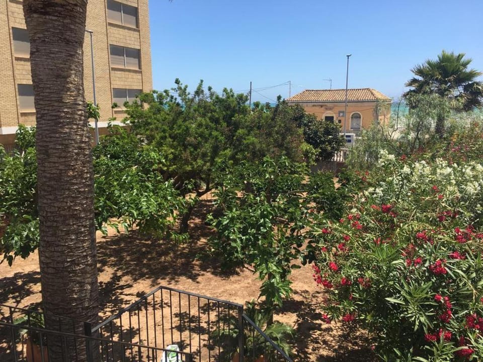 Garden view