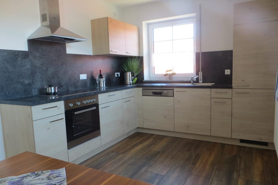 Kitchen or kitchenette, dishwasher, oven, stove