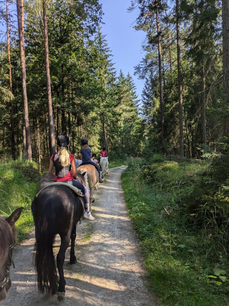 Horse-riding, Horse-riding