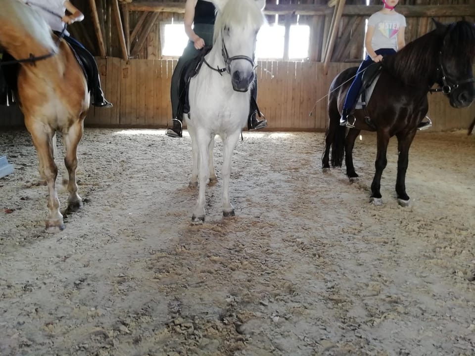 Horse-riding