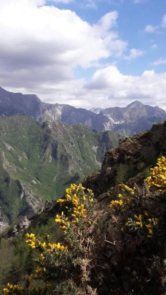 Natural landscape