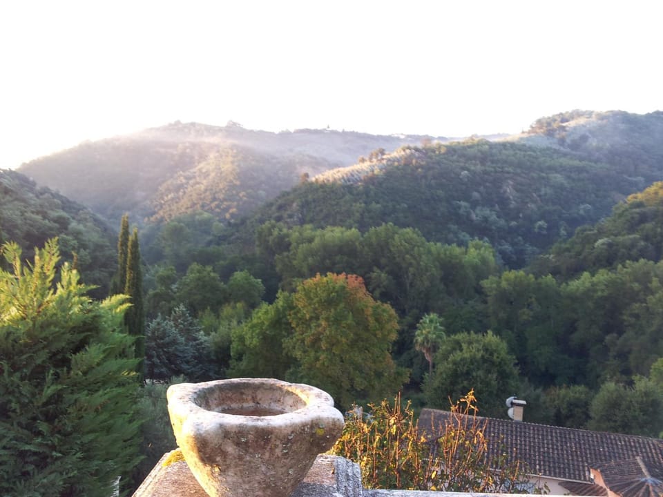 La Grimaudière Bed and Breakfast in French Riviera