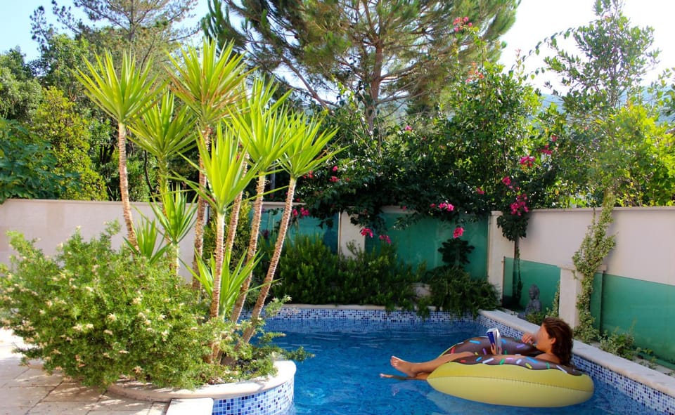 Garden, Swimming pool, Swimming pool