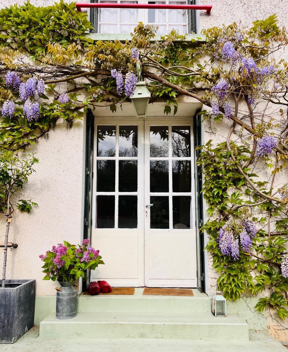 Facade/entrance, Spring