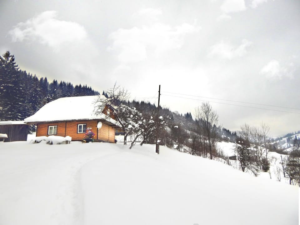 Property building, Winter, Garden, Mountain view