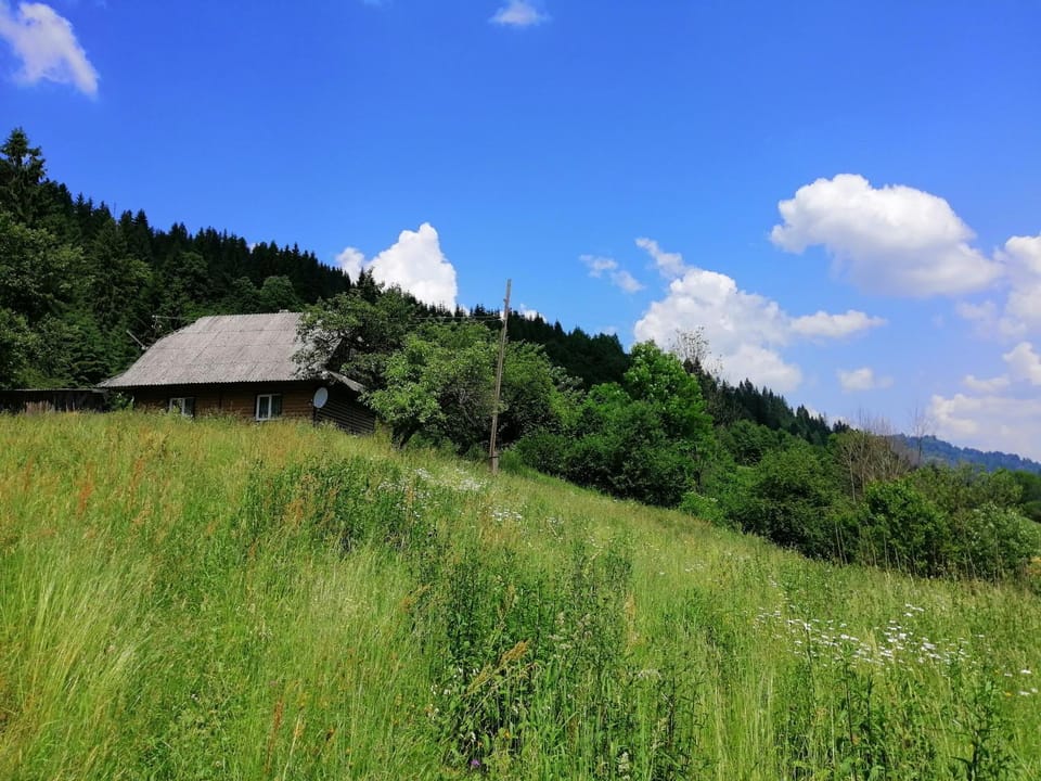 Property building, Garden, Decorative detail, Garden view, Mountain view