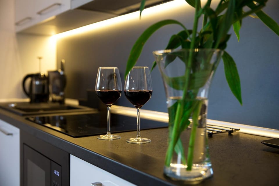 Apartament 102 Apartment in Wroclaw