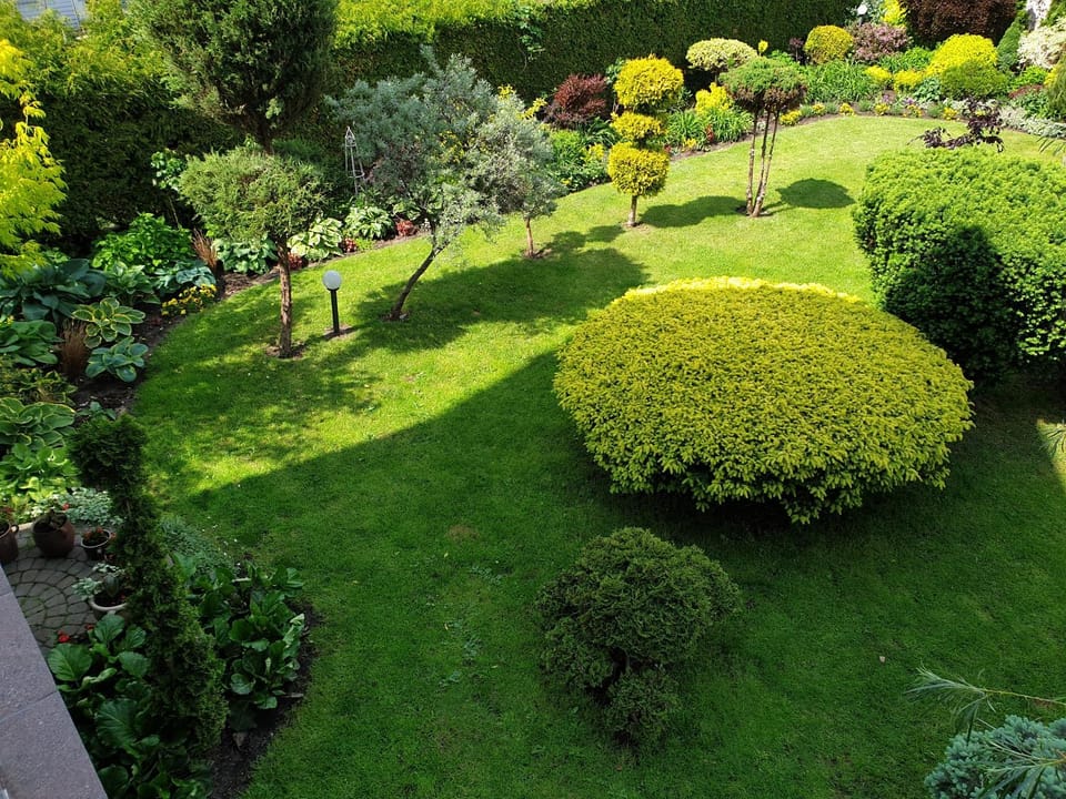 Garden