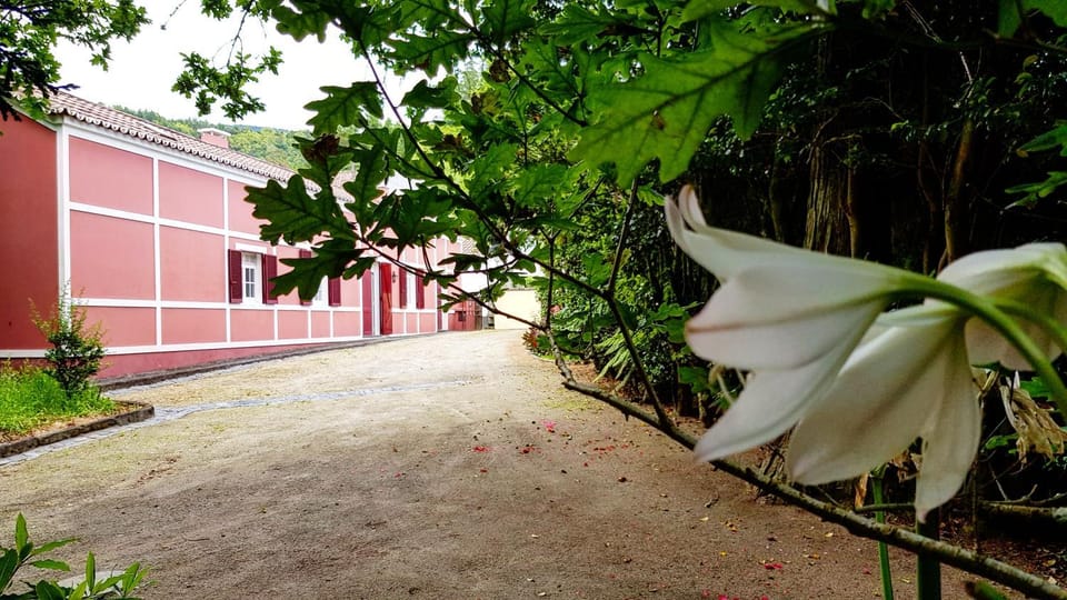 Casa Dona Beatriz House in Azores District
