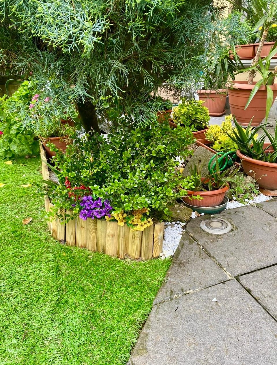 B&B IL VIALETTO Bed and Breakfast in Bergamo
