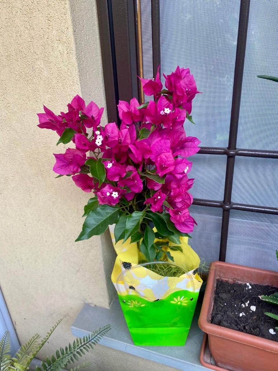 B&B IL VIALETTO Bed and Breakfast in Bergamo