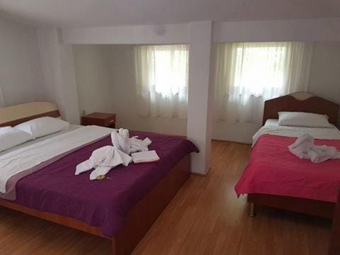 Villa Mrestiliste Trpejca Bed and Breakfast in Municipality of Ohrid, North Macedonia