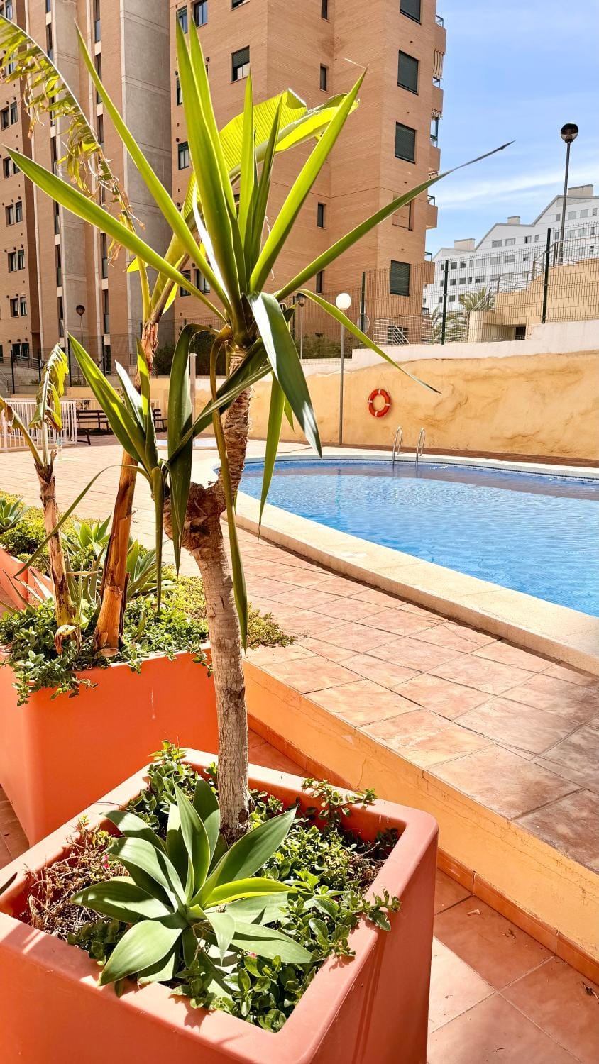 Property building, Garden, Garden view, Pool view, Swimming pool