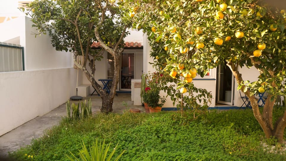 Patio, Inner courtyard view
