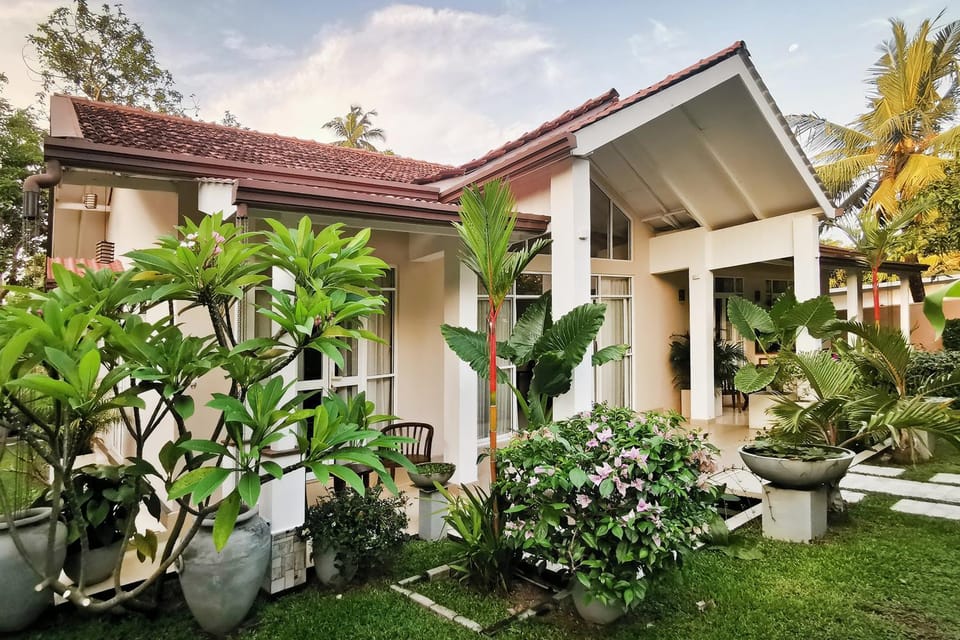 Property building, Garden, Garden