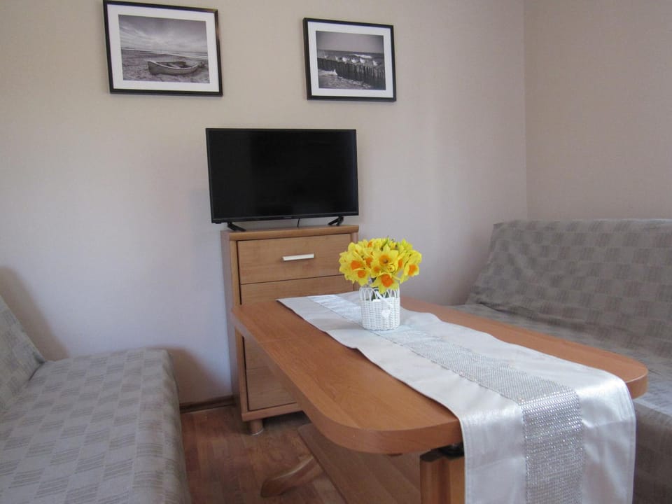 Communal lounge/ TV room, TV and multimedia, Living room