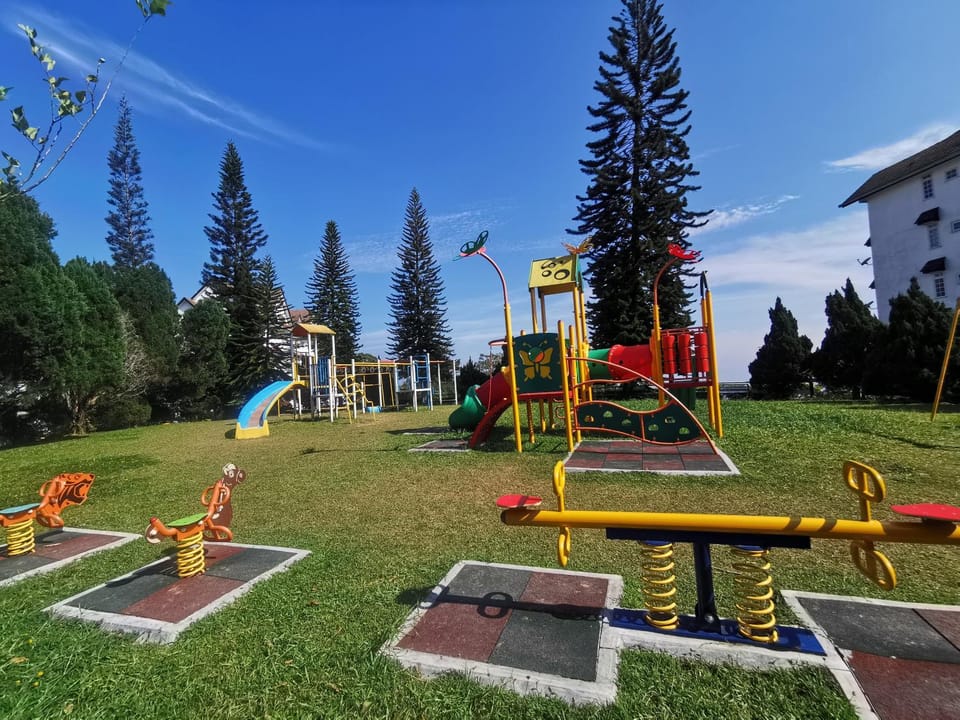 Children play ground