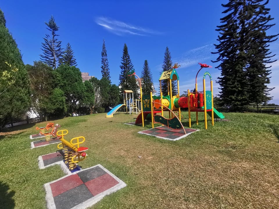 Children play ground