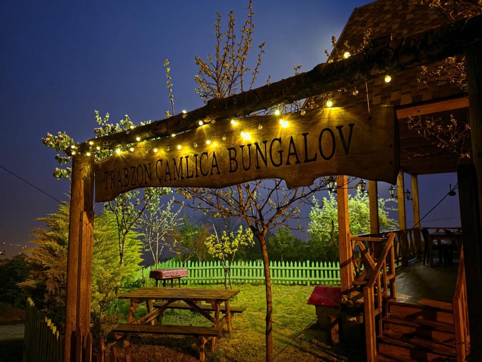 Night, Garden