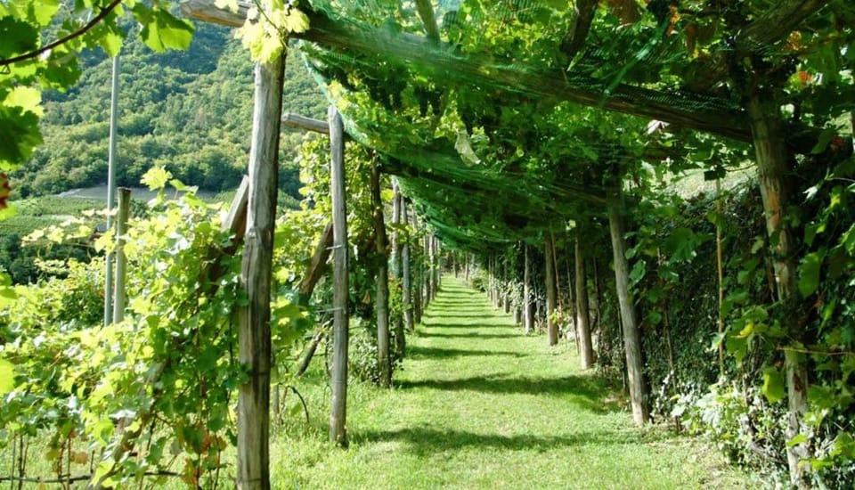 Natural landscape, Garden, Area and facilities