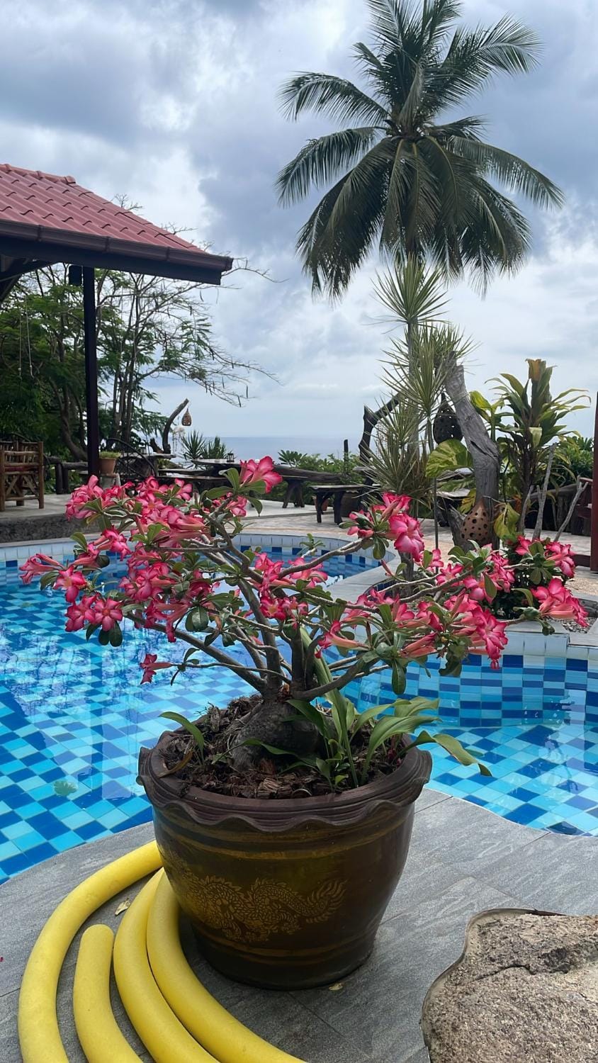 Sairee View Resort Resort in Ko Tao
