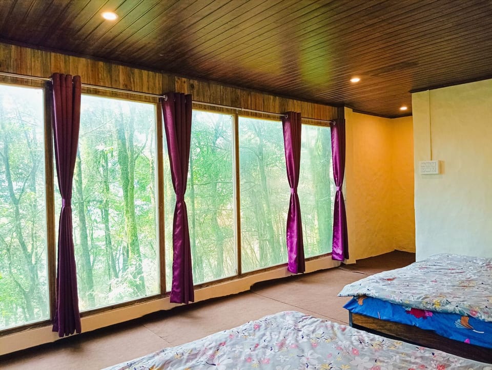 Bed, View (from property/room), Bedroom, Family