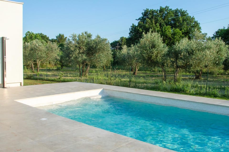 Spring, Day, Garden, Garden view, Pool view, Swimming pool