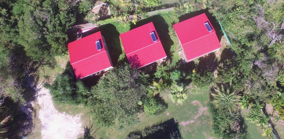 Bird's eye view, Garden view