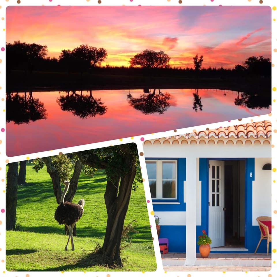 Monte do Lago, Pegões Farm Stay in Setubal District
