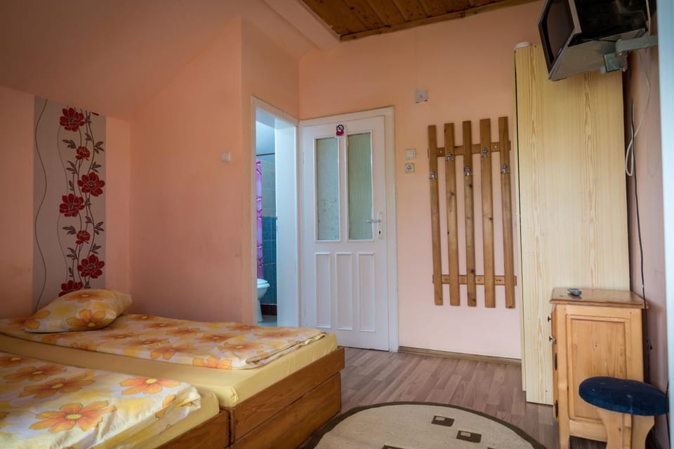 Pensiunea elena Bed and Breakfast in Hungary