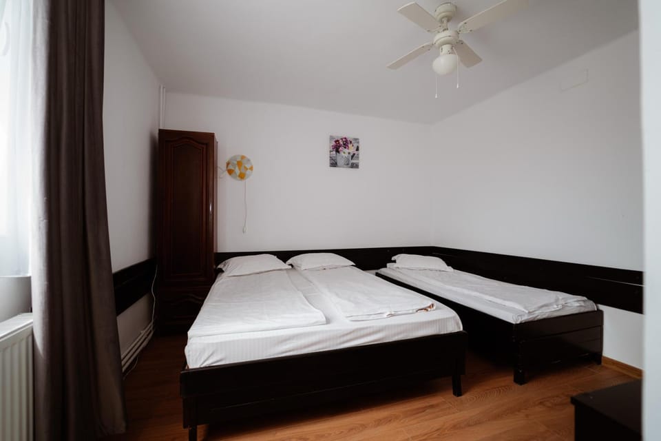 Pensiunea elena Bed and Breakfast in Romania