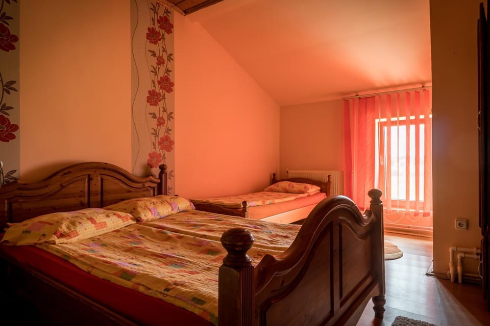Pensiunea elena Bed and Breakfast in Hungary
