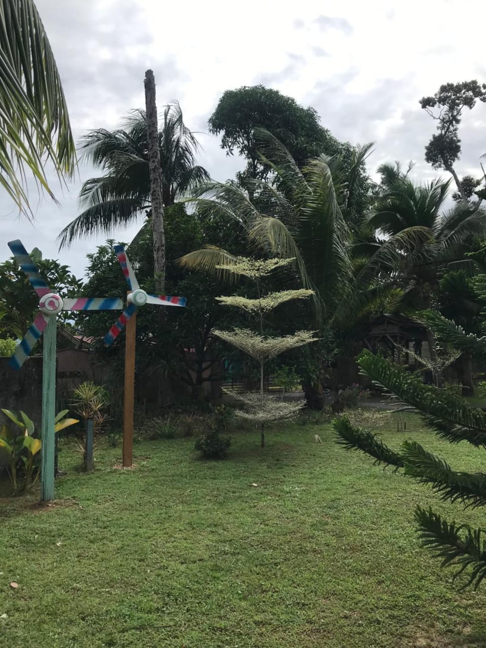 Garden view