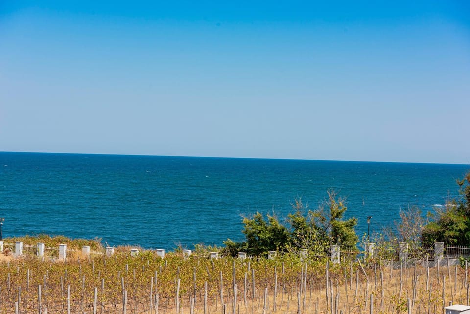 Natural landscape, Sea view