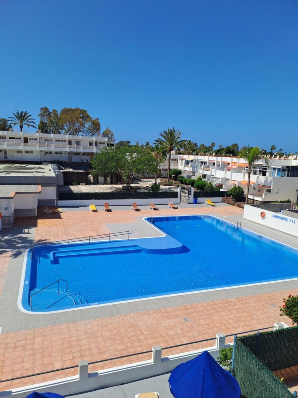 Day, Pool view, Swimming pool, sunbed