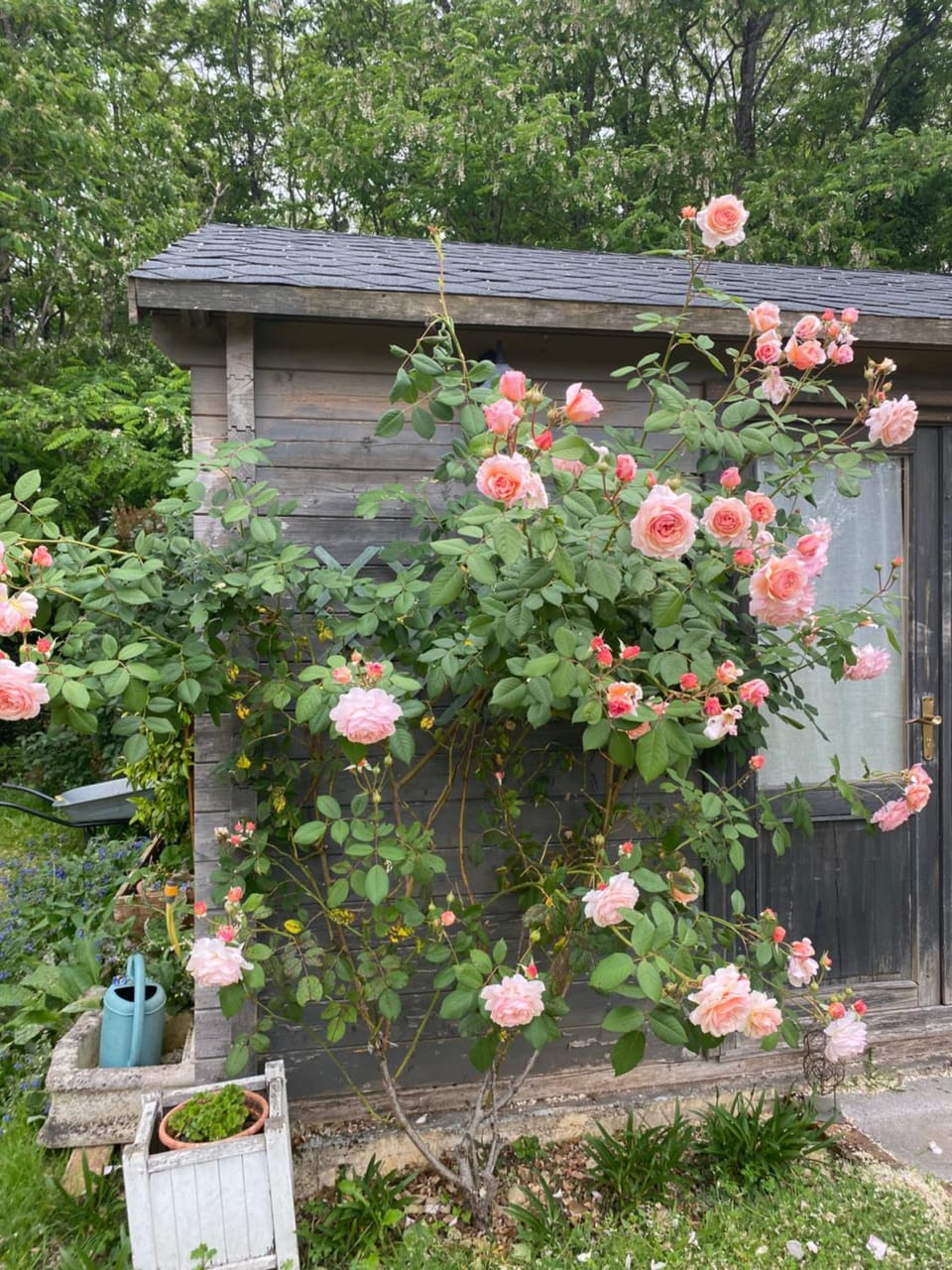 Garden, Garden view
