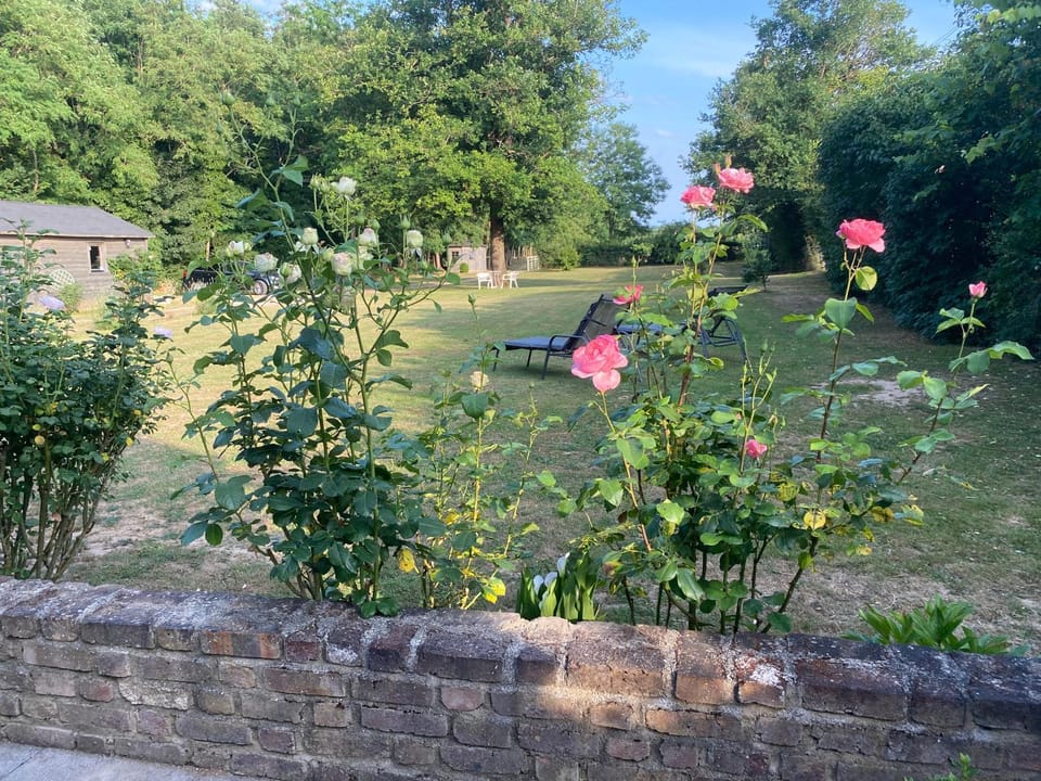 Garden, Garden view