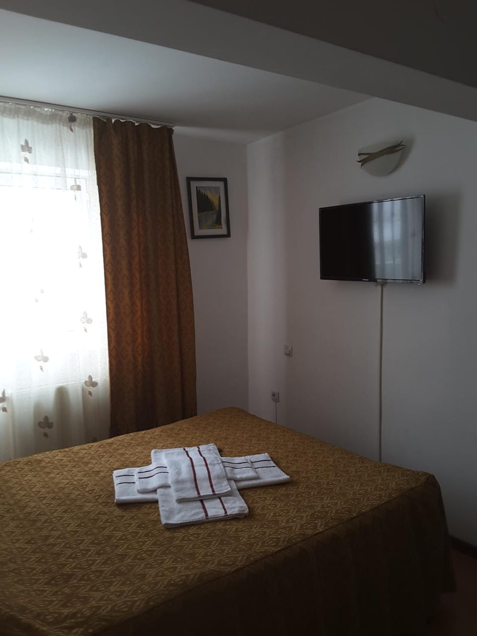 Camere de inchiriat EDELWEISS Bed and Breakfast in Romania